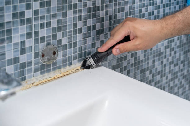 Best Affordable Mold Removal  in Bort, GA